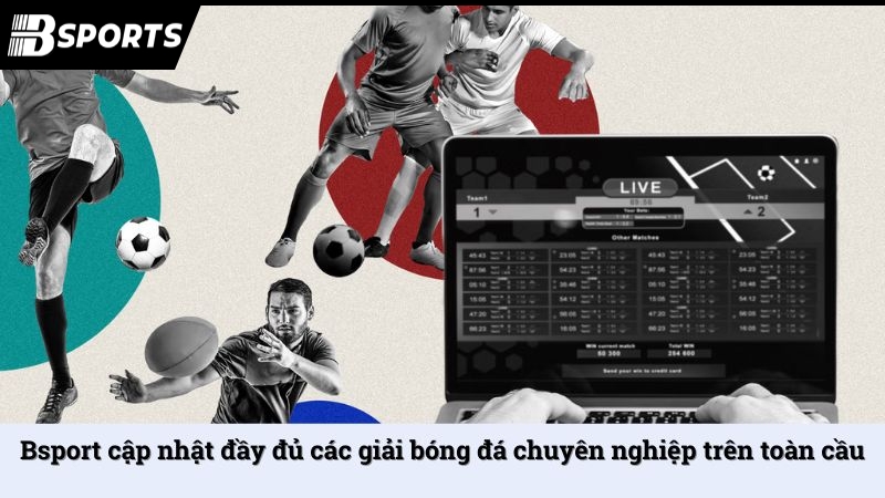 Bsport cập nhật đầy đủ các giải bóng đá chuyên nghiệp trên toàn cầu