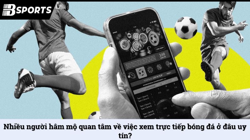 Nhiều người hâm mộ quan tâm về việc xem trực tiếp bóng đá ở đâu uy tín?