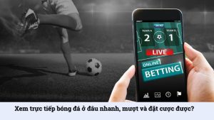 Xem trực tiếp bóng đá ở đâu nhanh, mượt và đặt cược được?