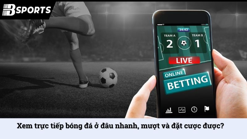 Xem trực tiếp bóng đá ở đâu nhanh, mượt và đặt cược được?