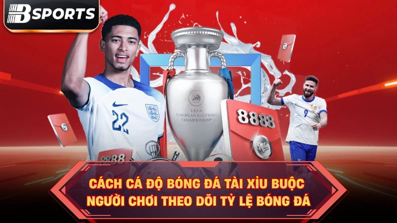 Cách cá độ bóng đá tài xỉu buộc người chơi theo dõi tỷ lệ bóng đá