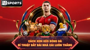cách xem kèo bóng đá
