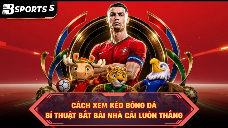 cách xem kèo bóng đá