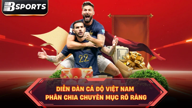 Diễn đàn cá độ Việt Nam phân chia chuyên mục rõ ràng