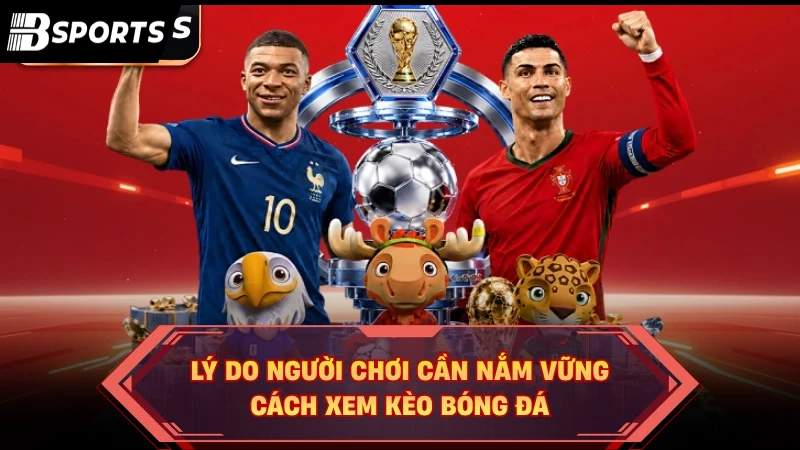 Lý do người chơi cần nắm vững cách xem kèo bóng đá
