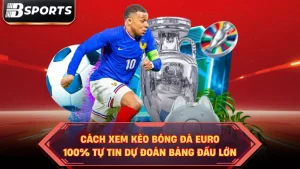 Cách Xem Kèo Bóng Đá Euro